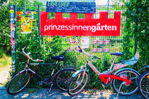 Eine Lesung im Prinzessinnengarten