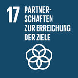 SDG 17 Partnerships for the Goals